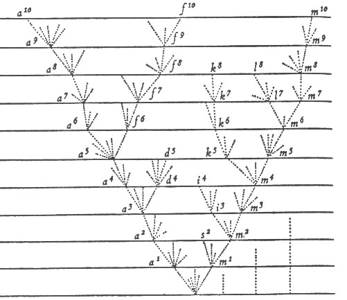        ,  ,  ,      (.   macroevolution.narod.ru)