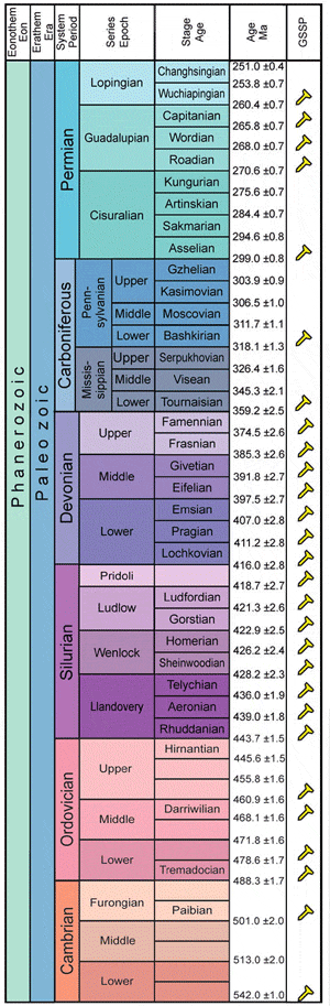     .     ,        ,         ,      (   stratigraphy.org)