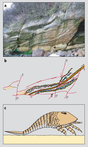  ,      ,        .  ,    330    ( : Nature, vol. 438, 1 December 2005, p. 576)