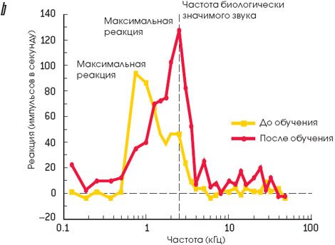  -      <font class='thesaurus' title=' -  ' onclick=show_dic_word('%E7%ED%E0%F7%E8%EC',event)></font>,     (b). 