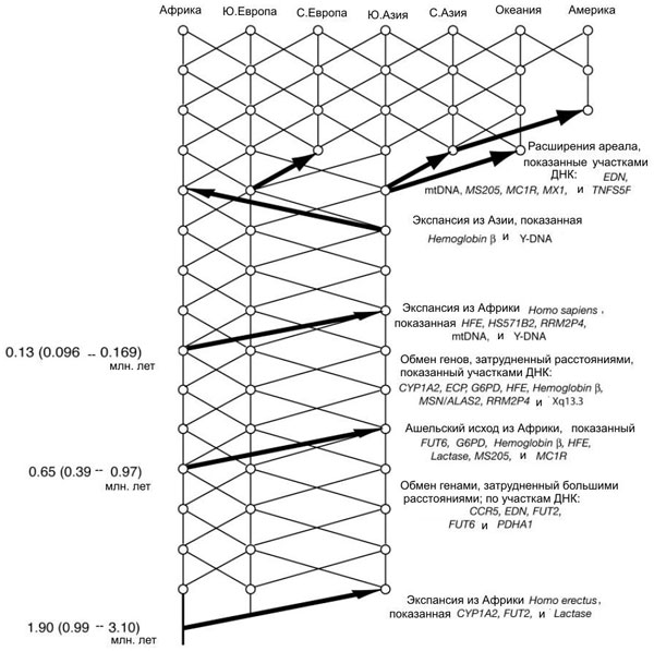     .. .     (),     . ,    -          100 .  . .    Yearbook of physical anthropology