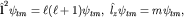 ${bfhat l}^2psi_{tm}=ell(ell+1)psi_{tm},; hat l_zpsi_{tm}=mpsi_{tm},$