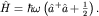 $hat H=hbaromegaleft(hat a^+hat a+frac{1}{2}right).$