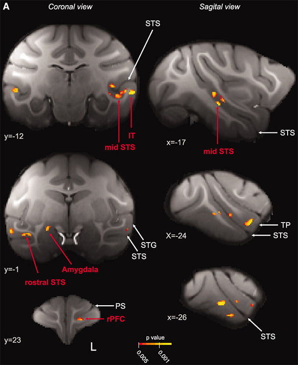   -,        ,     (   ).  —  ()  ,  —  ().      Science