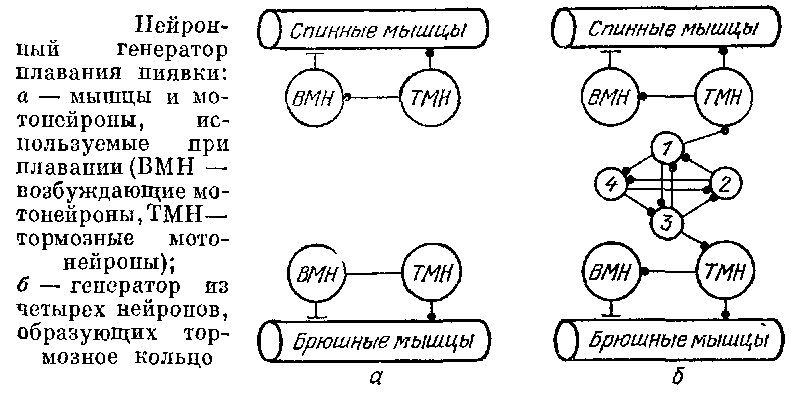 <font class='thesaurus' title=' -  ' onclick=show_dic_word('%ED%E5%E9%F0%EE%ED',event)></font>,    