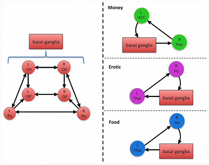 M. Arsalidou et al. / Brain Imaging and Behavior (2020) / Springer Nature