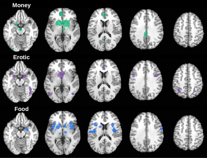 M. Arsalidou et al. / Brain Imaging and Behavior (2020) / Springer Nature