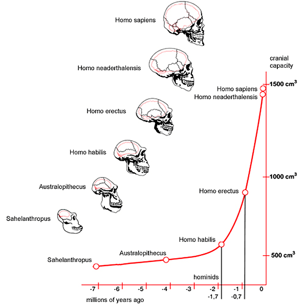     ,   ,  .             .    readingevolution.com