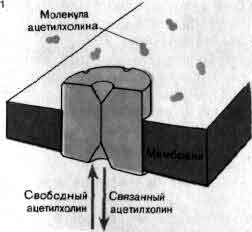 tmp6E-35.jpg