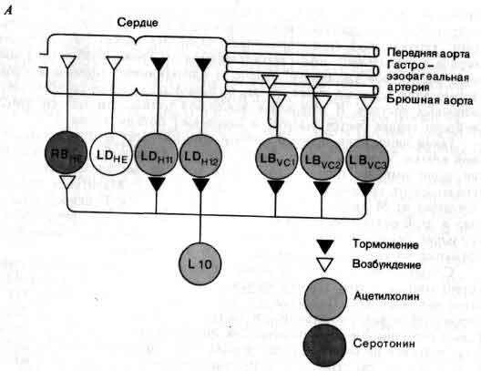 tmp6E-47.jpg