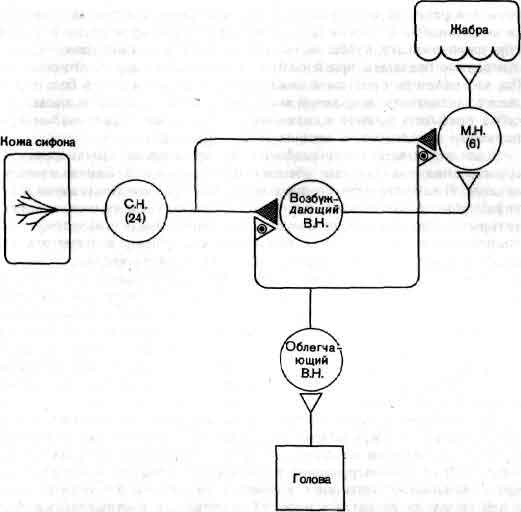 tmp6E-52.jpg