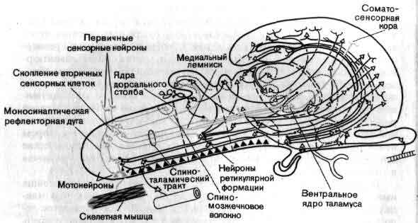 tmp6E-61.jpg