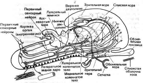 tmp6E-62.jpg