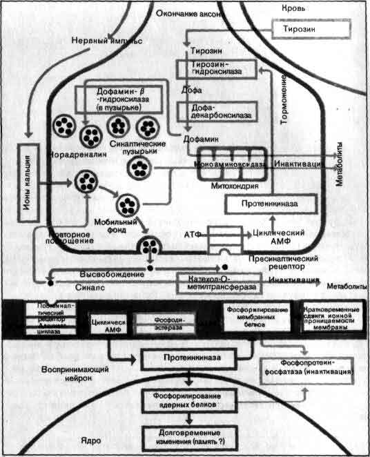 tmp6E-85.jpg