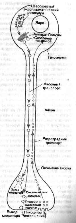 tmp6E-87.jpg