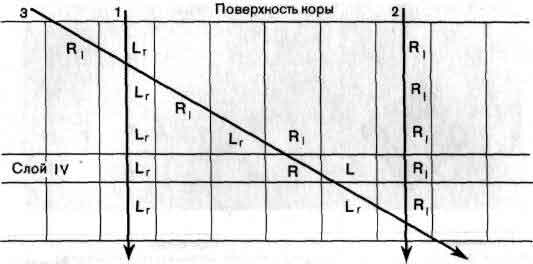 tmp6E-121.jpg