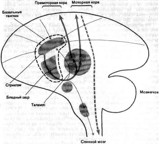 tmp6E-136.jpg