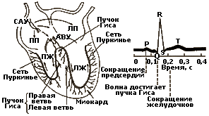 hspace=5