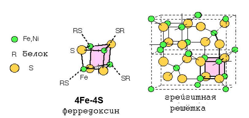    4Fe4S- 