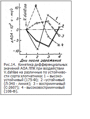 :  .14.         V.dahliae    ¬-  : 1 – - (175-);  2 – (-340 - );  3 –  (-2607);  4 -  (108-). .14.         V.dahliae    ¬  : 1 –  (175-); 2 –  (-340 - );  3 - (-2607);  4 – - (108-).